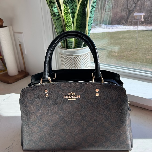 Coach Handbags - COACH Lillie Carryall In Signature bag NEW